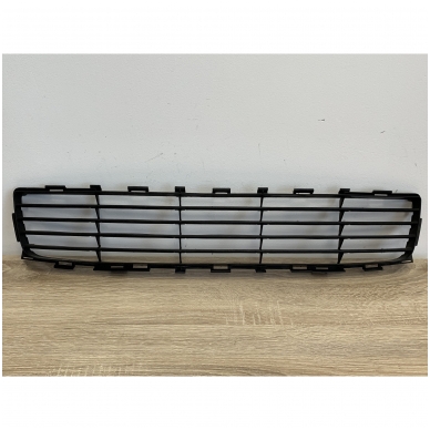 Bumper grille 1