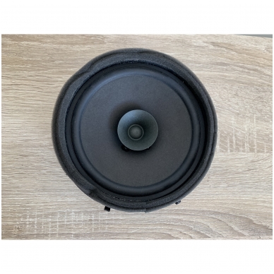 Door Speaker