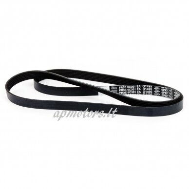 Serpentine belt 5.0