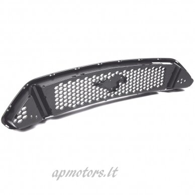 Radiator grilles 1