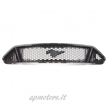 Radiator grilles 1